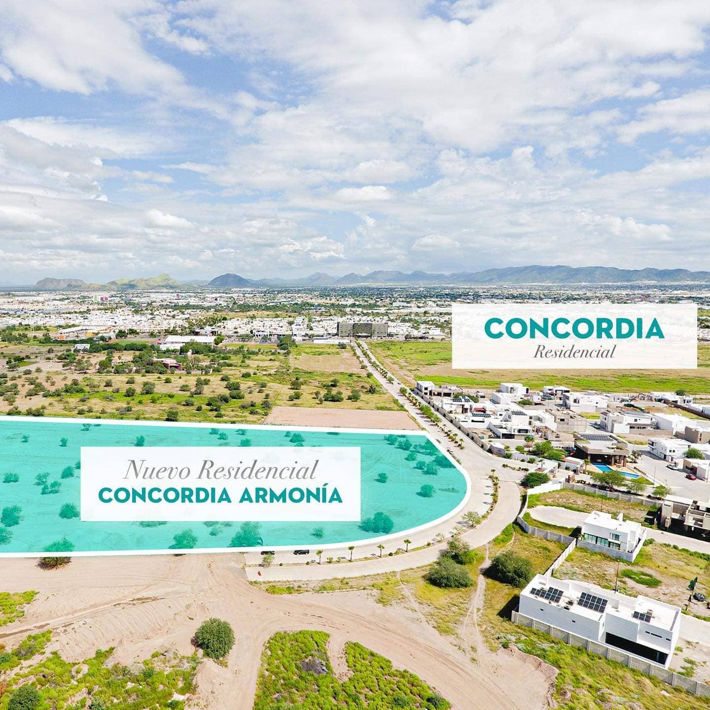 Concordia Hermosillo 3